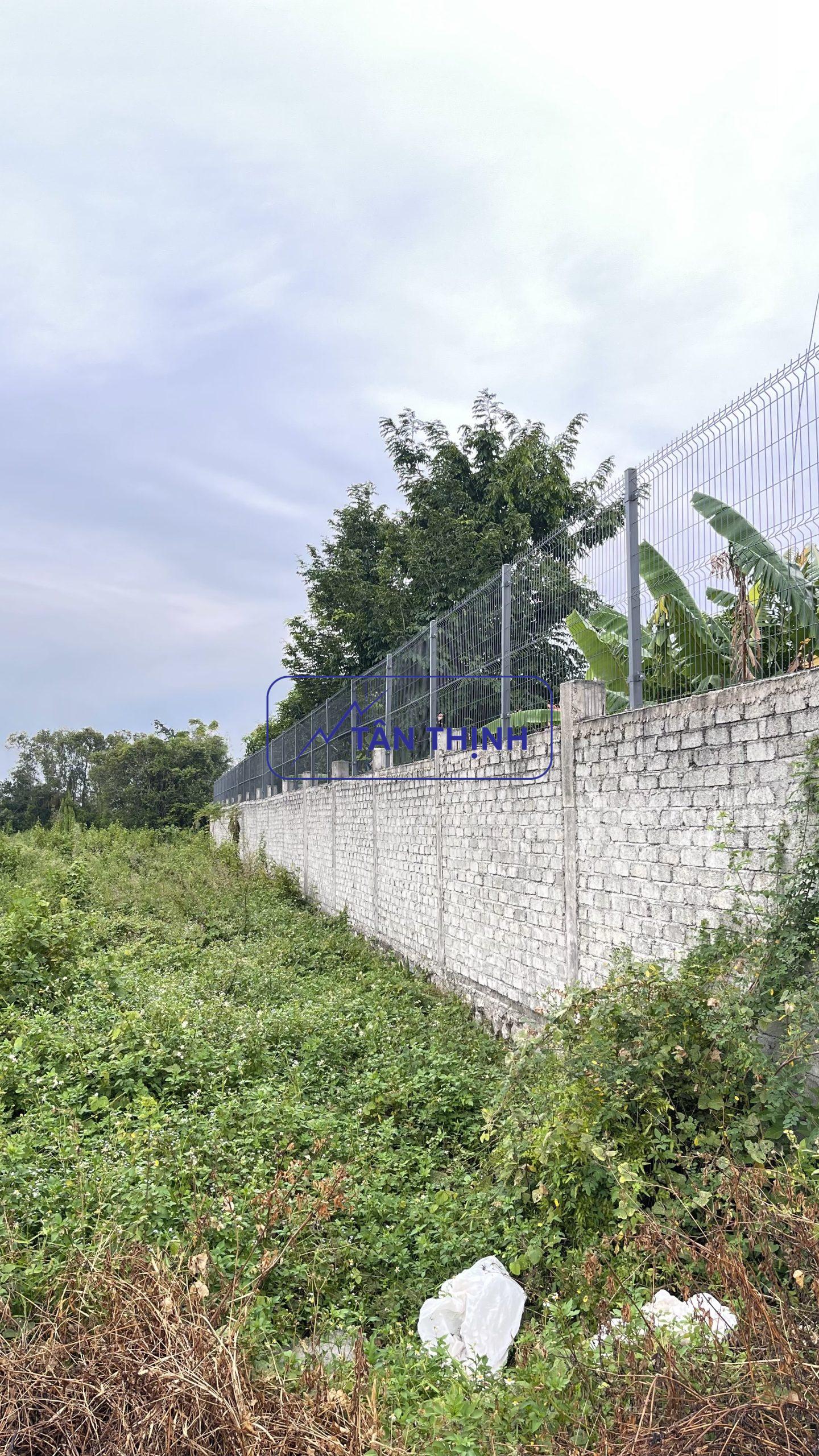 Lưới thép hàng rào sơn tĩnh điện Lưới thép hàng rào sơn tĩnh điện